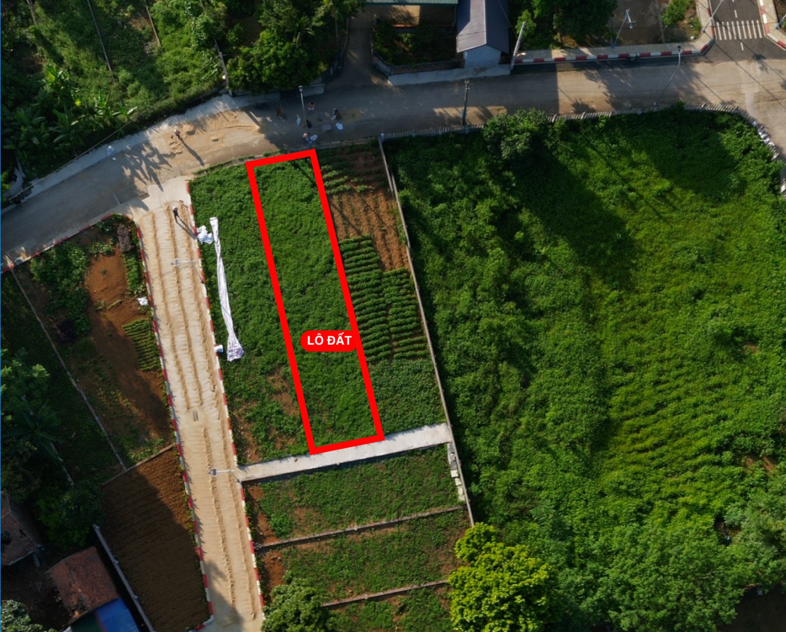 Bán Đất 159m² thổ cư 50m² giá 2.7 tỷ tại Cố thổ, Xã Lương Sơn Phú Thọ