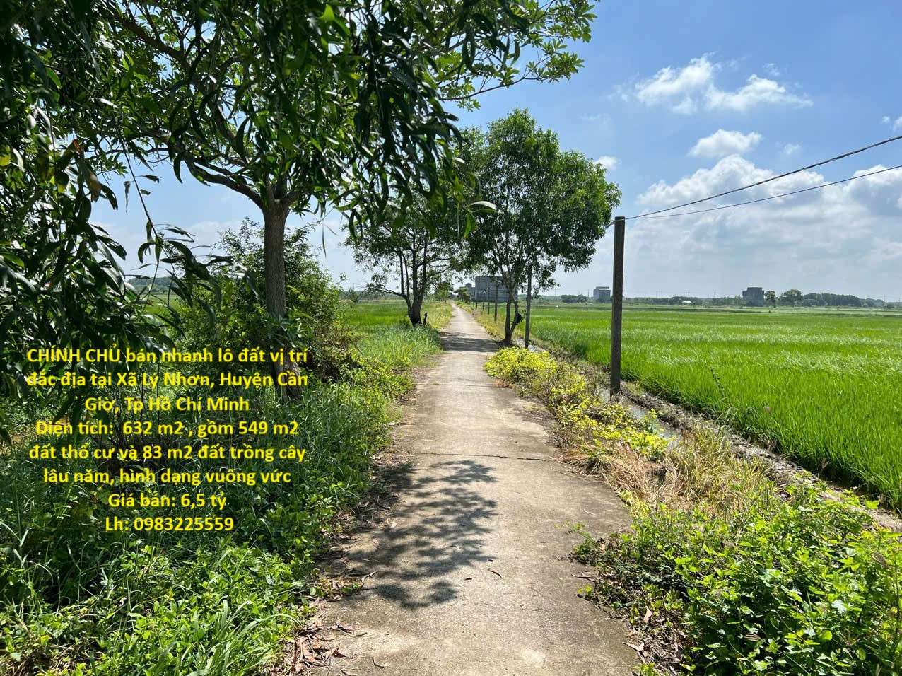 CHÍNH CHỦ bán nhanh lô đất vị trí đắc địa tại Xã Lý Nhơn, Huyện Cần Giờ, Tp Hồ Chí Minh
