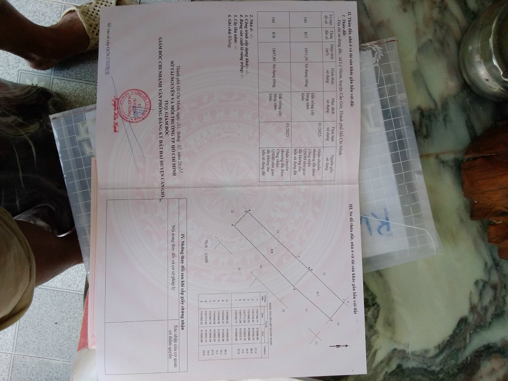 Bán  đất nông nghiệp 5000m² , giá 4.5 tỷ tại, Xã Lý Nhơn, Huyện Cần Giờ, TP. Hồ Chí Minh