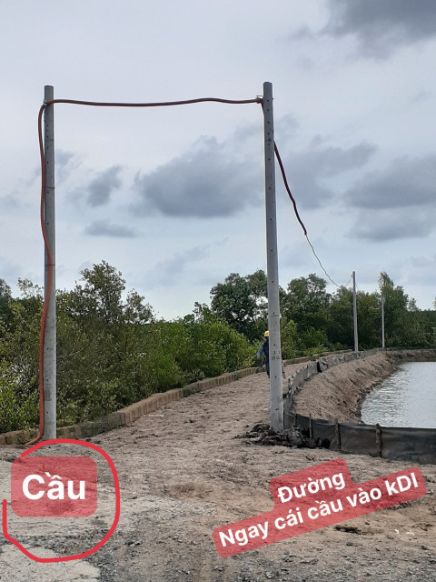Bán  đất nông nghiệp 22979m² , giá 15 tỷ tại, Xã Lý Nhơn, Huyện Cần Giờ, TP. Hồ Chí Minh