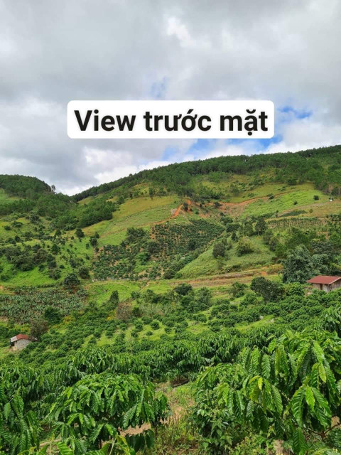 Bán  đất nông nghiệp 20000m² , giá 6 tỷ tại, Xã Mê Linh, Huyện Lâm Hà, Lâm Đồng