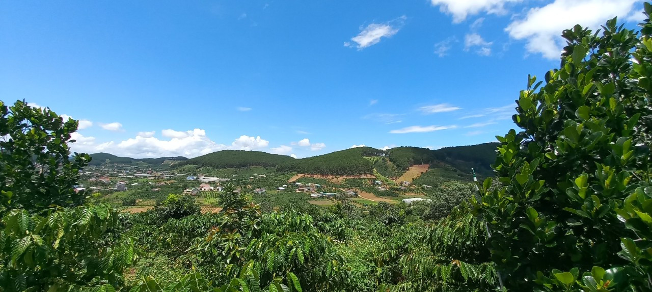 Bán  đất thổ cư 7000m² , giá 27 tỷ tại, Xã Mê Linh, Huyện Lâm Hà, Lâm Đồng