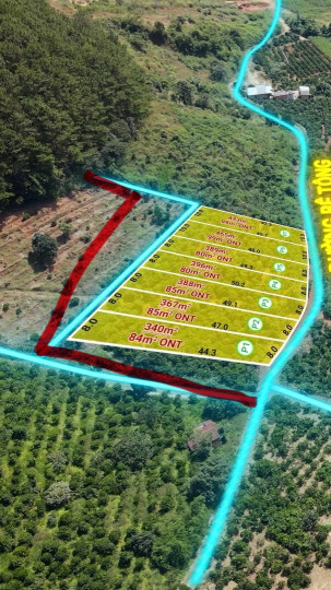 ĐÀ LẠT MỞ RỘNG - QH FULL ĐẤT Ở - CHỈ 2 TRĐ/M2 LƯNG TỰA ĐỒI THÔNG VIEW SUỐI CAM LY