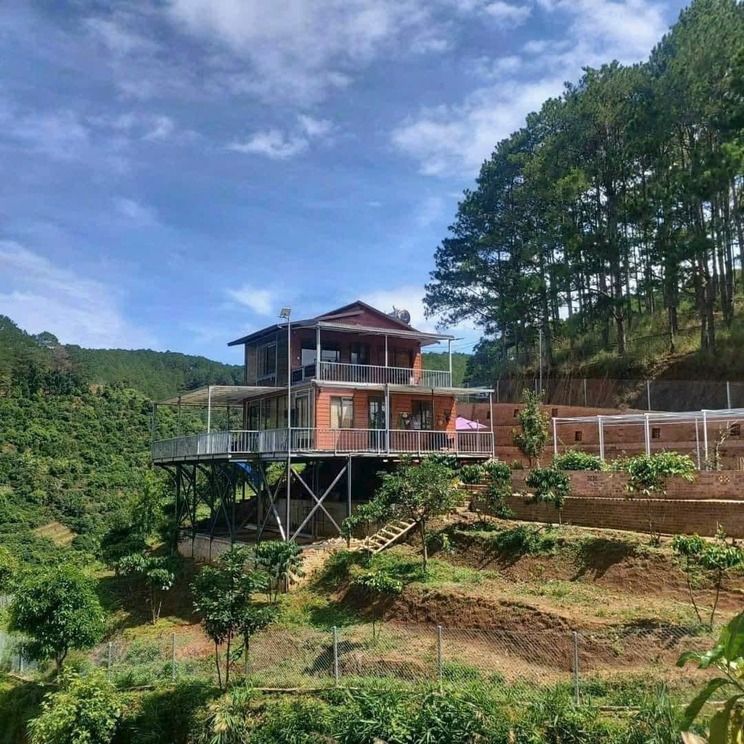 NHÀ VIEW RỪNG THÔNG , GIÁP SUỐI CHỈ 1,5 tỷ