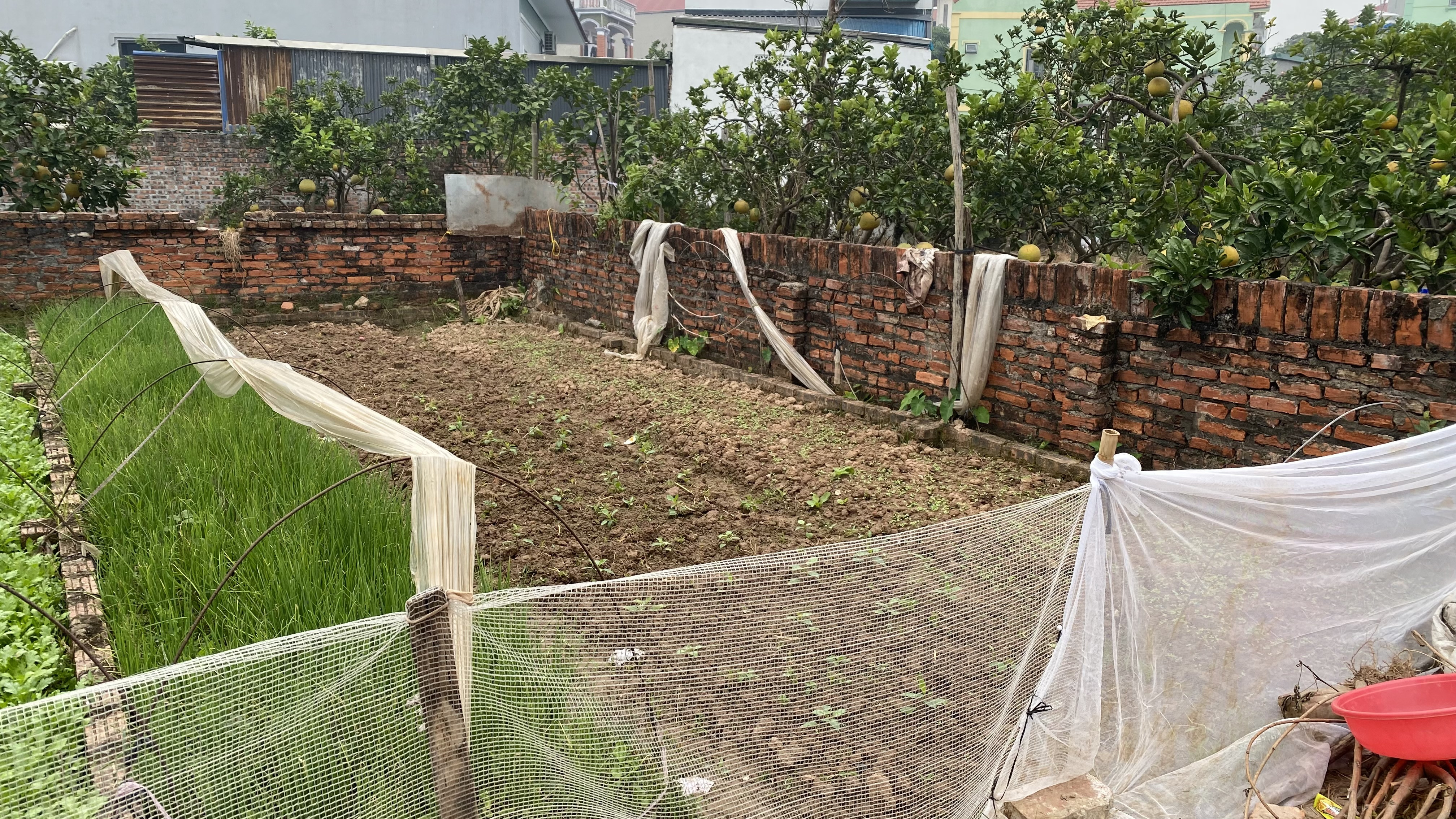 TRUNG HẬU ĐÔNG – MÊ LINH 

👉 Diện tích: 42,8m² – MT = hậu 4,3m, full thổ cư
🚗 Đường trước đất thoáng rộng, ô tô 5 chỗ vào tận đất
📍 Cách 50m nhà văn hoá gửi xe ngày đêm
🔥 Khu vực dân cư đông, thanh khoản tốt, mua ở hay đầu tư đều hợp
🏫 Gần trường họ
