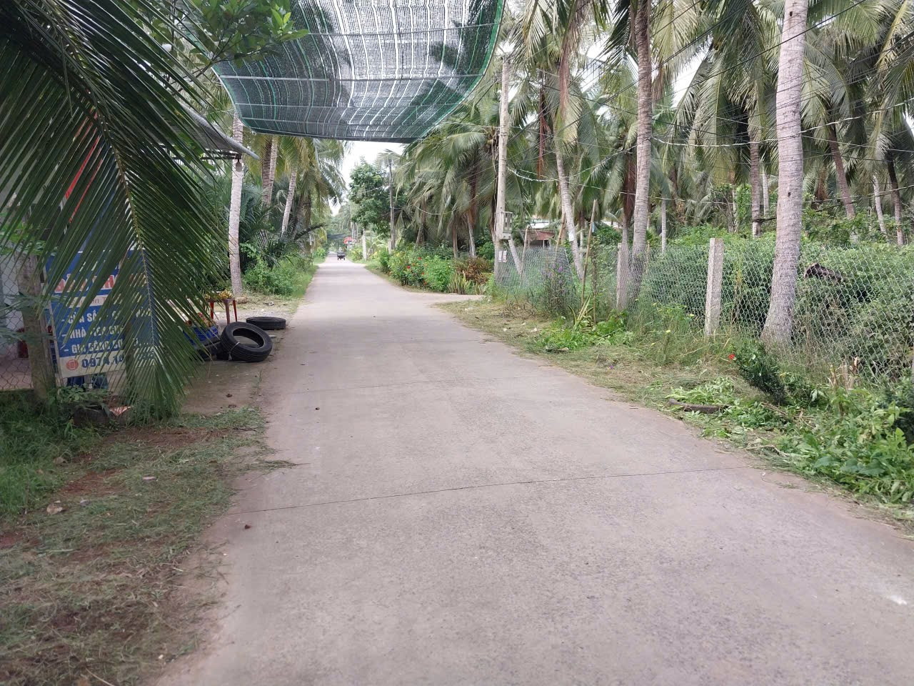 Bán đất vườn dừa mặt tiền Huyện Lộ 35.