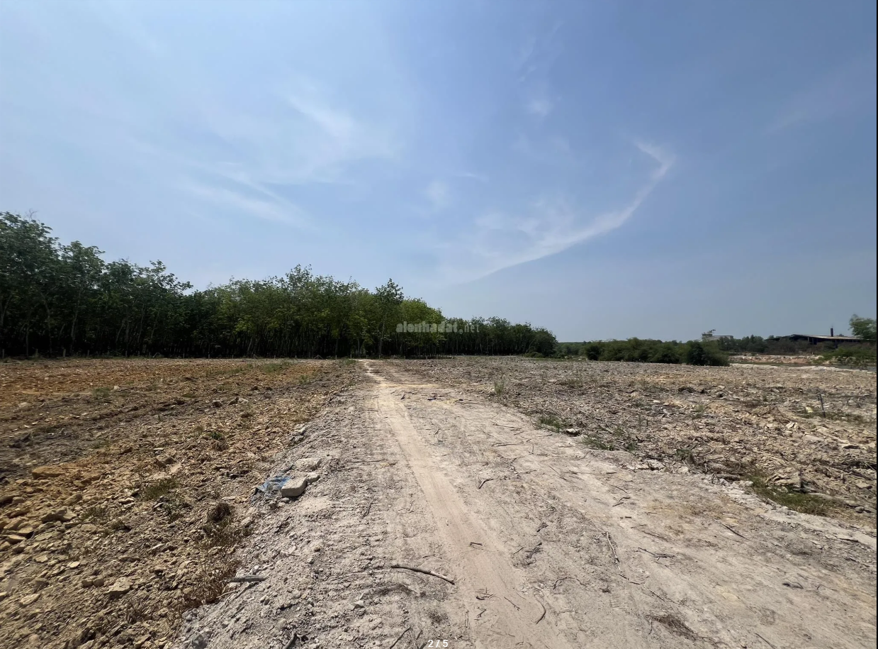 Bán đất 14925m² 13.2 tỷ tại Xã Minh Hoà Huyện Dầu Tiếng