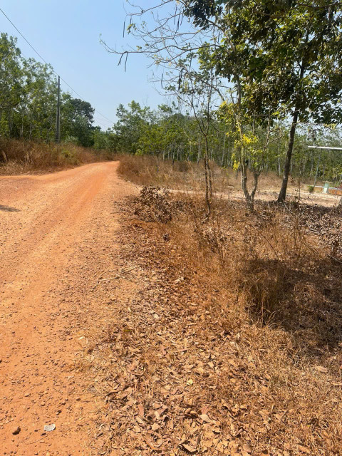 Thanh lý đất Bình Dương 420k/m2 - Chính chủ - Giá cực tốt - Sinh lời cao
