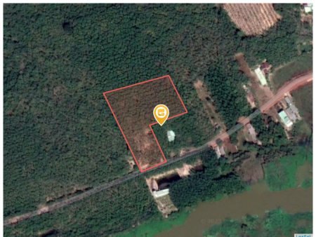 Bán đất 8766.8m² 3.9 tỷ tại Xã Minh Hoà Huyện Dầu Tiếng