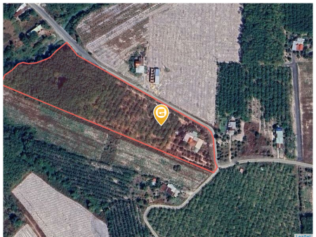 Chính chủ bán nhanh 2300m². Giá 190 triệu tại Xã Minh Lập Thị xã Chơn Thành