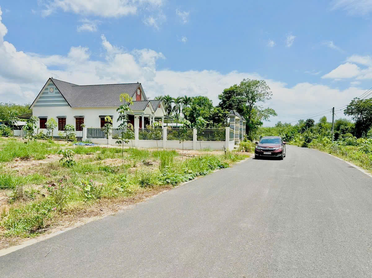 Chính chủ bán nhanh 250m², có sẵn thổ cư. Giá 480 triệu đất gần ủy ban, trường học dân cư đông