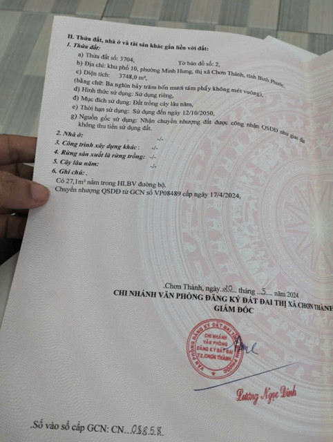 Hàng VIP