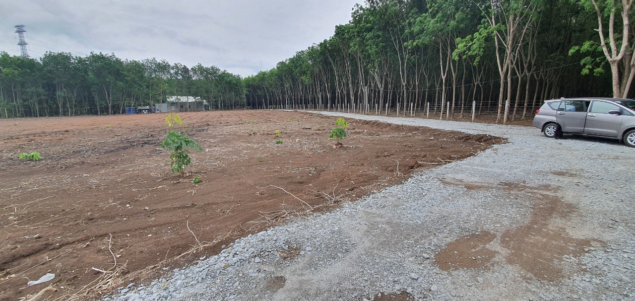 Bán đất 1000m² 180 triệu tại Xã Minh Lập Thị xã Chơn Thành