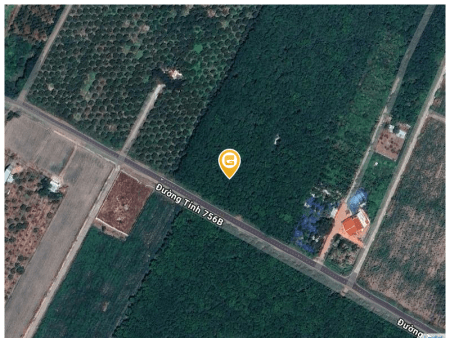Bán đất 250m² 480 triệu tại Xã Minh Lập Thị xã Chơn Thành