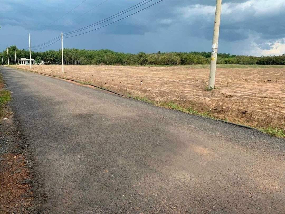 0909 044 186. kẹt tiền bán gấp 260m2 đất gần chợ, trường học 123, dân cư đông giá 295tr