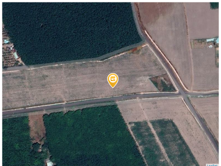 Bán lỗ 1000m2 (21x52) giá 180 triệu. LH: 0933.263.596 A.VỸ