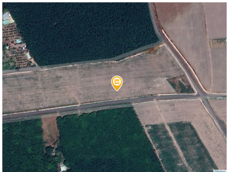 Bán lỗ 1000m2 (21x52) giá 180 triệu. LH: 0933.263.596 A.VỸ
