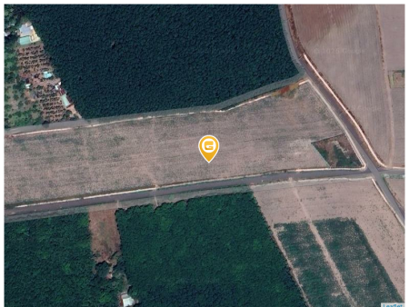 Bán lỗ 1000m2 (21x52) giá 180 triệu. LH: 0933.263.596 A.VỸ