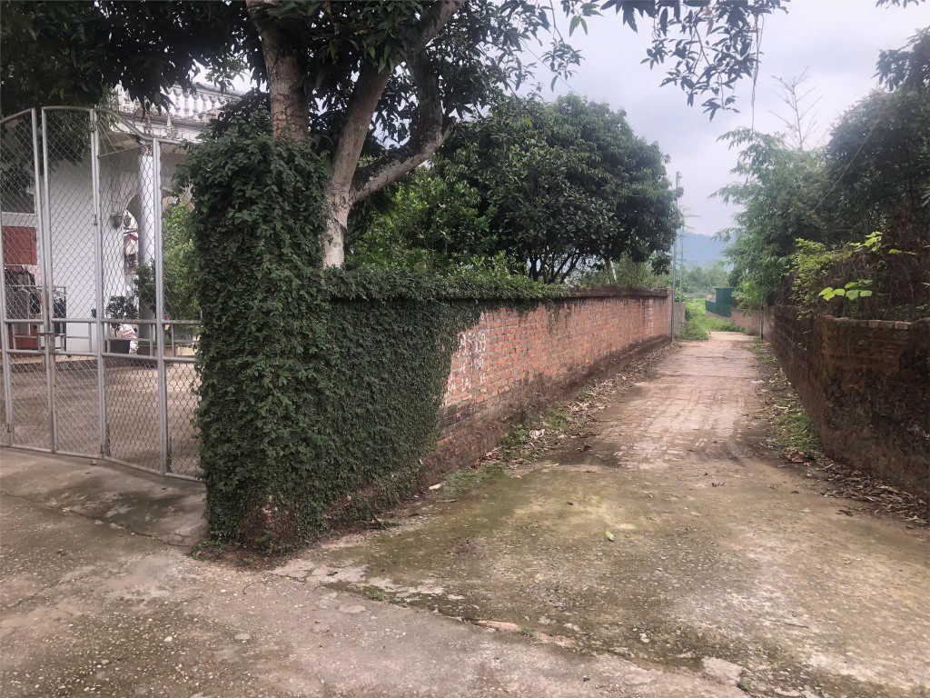 ĐẤT ĐẸP - GIÁ TỐT - Vị Trí Đắc Địa Tại Đường Phú Thịnh, Xã Minh Phú, Huyện Sóc Sơn, Thành phố Hà Nội