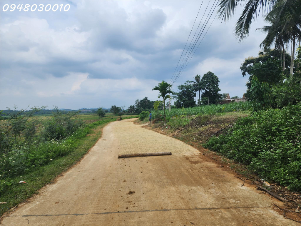 BÁN ĐẤT TẠI THÔN MINH THẮNG, XÃ MINH SƠN, HUYỆN NGỌC LẶC, TỈNH THANH HÓA