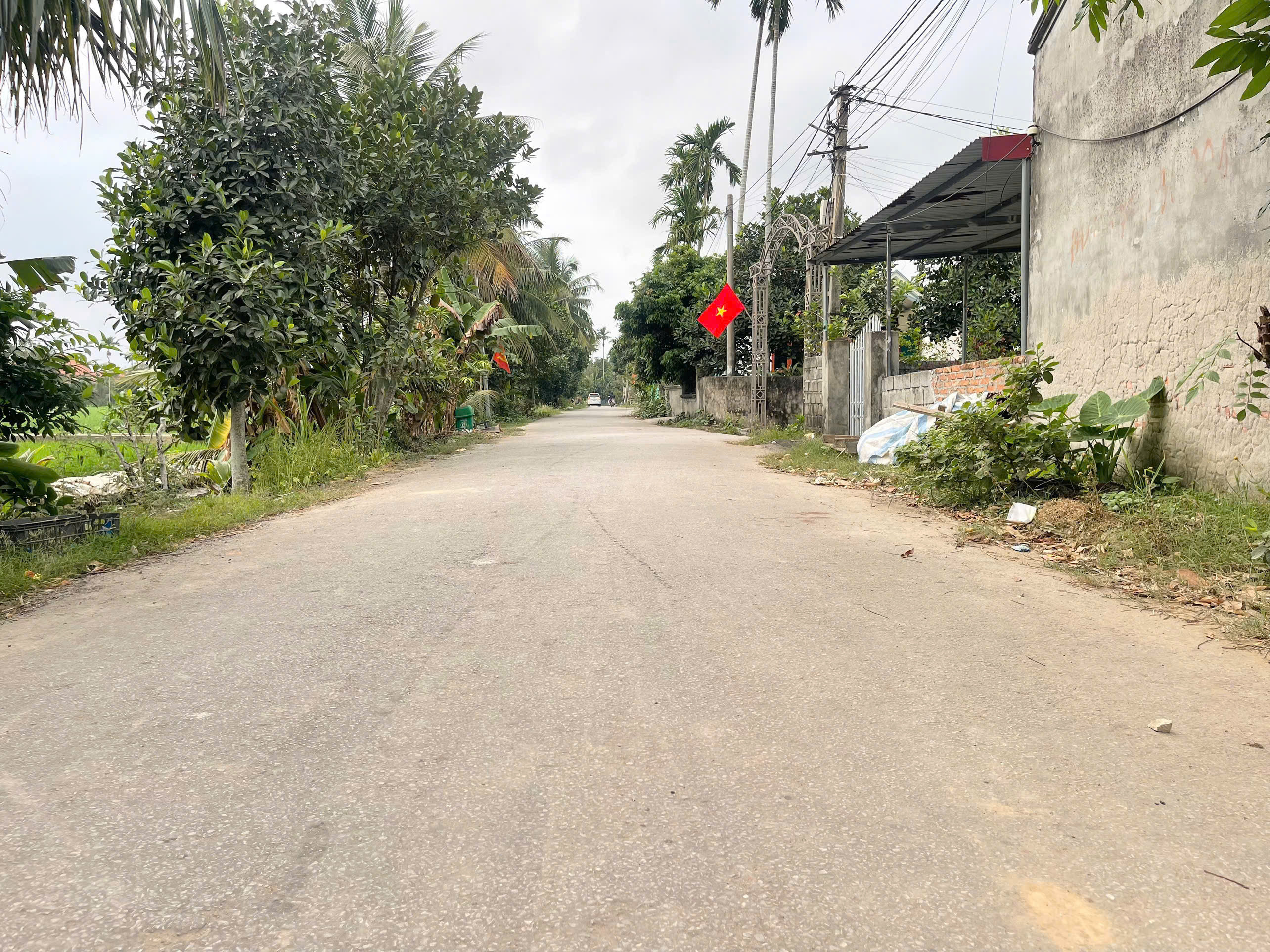 3KM86 🌟 MẶT ĐƯỜNG THÔN THÙ DU MINH TÂN KIẾN THỤY - 86M² VIEW ĐỒNG LÚA THOÁNG MÁT - ZÁ LOANH QUANH 2 TỶ