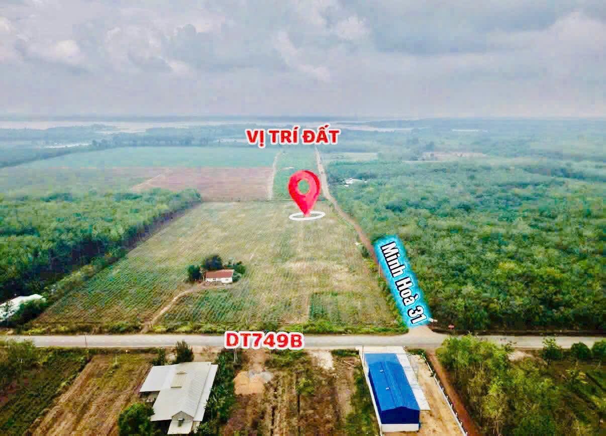 CẦN BÁN NHANH LÔ ĐẤT 225M2 GIÁ F0 SIÊU TỐT THƯƠNG LƯỢNG CHÍNH CHỦ