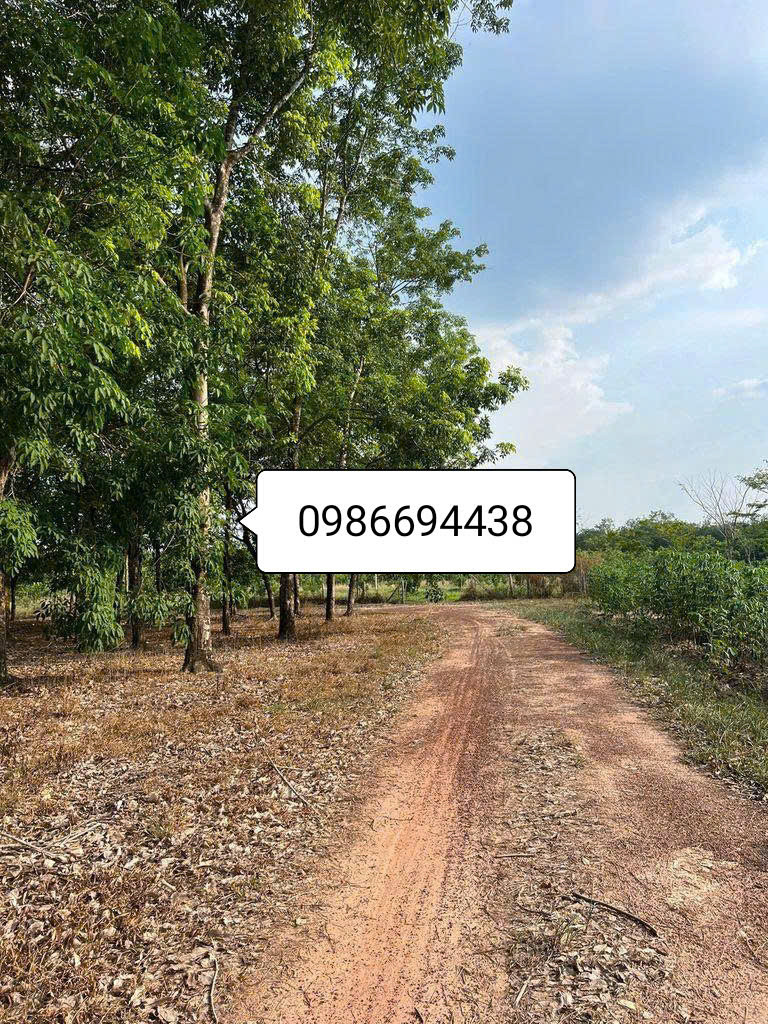 Bán đất 40000.4m² ngang 200m giá 28.91 tỷ Xã Minh Thạnh