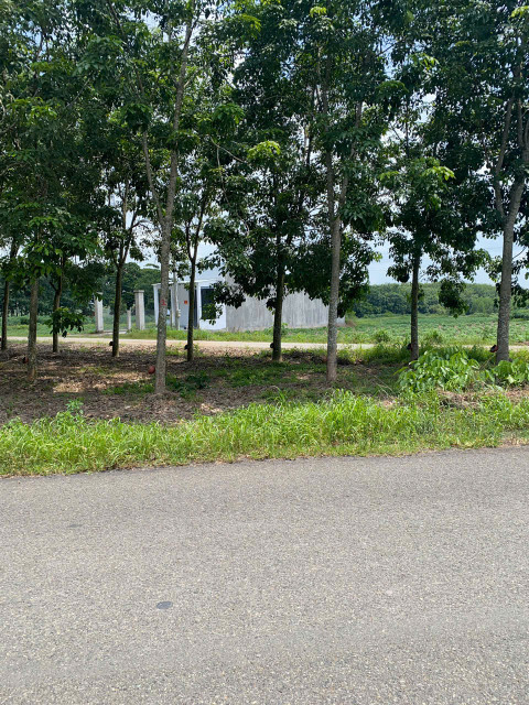 BÁN GẤP – ĐẤT 500M² CHỈ 390 TRIỆU – NGAY KCN BECAMEX – PHƯỜNG CHƠN THÀNH