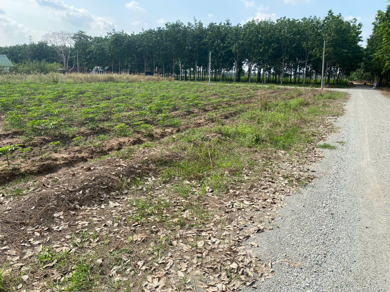 GIÁ CHỈ 399 TRIỆU, SỞ HỮU LÔ ĐẤT 6x85M NGAY KCN BECAMEX-CHƠN THÀNH