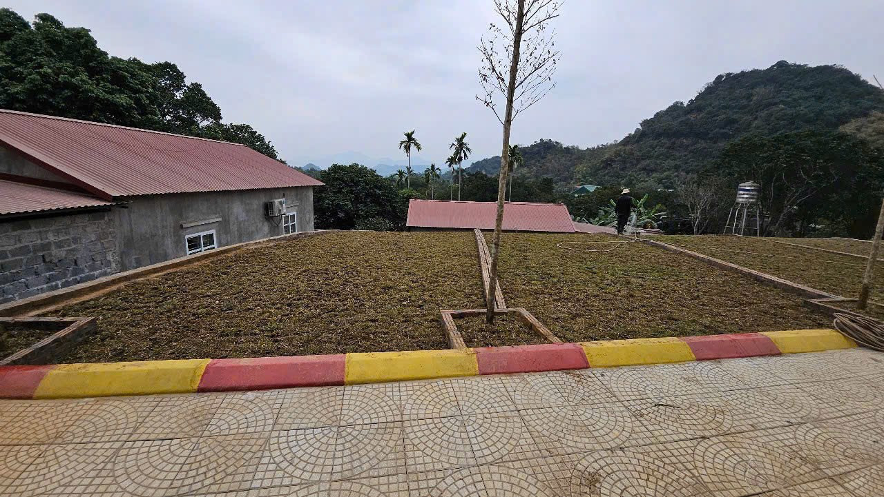 🔥 ĐẤT ĐẸP GẦN KCN & RESORT 5⭐ – GIÁ CHỈ 760 TRIỆU – ĐẦU TƯ LÀ LÃI!