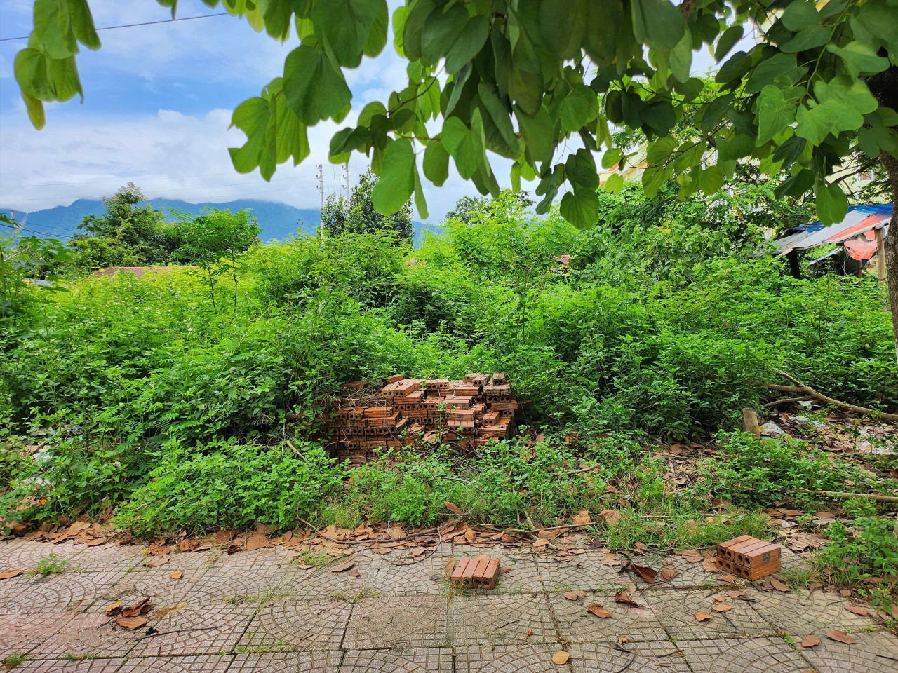 Bán đất tổ 3 mường ảng
