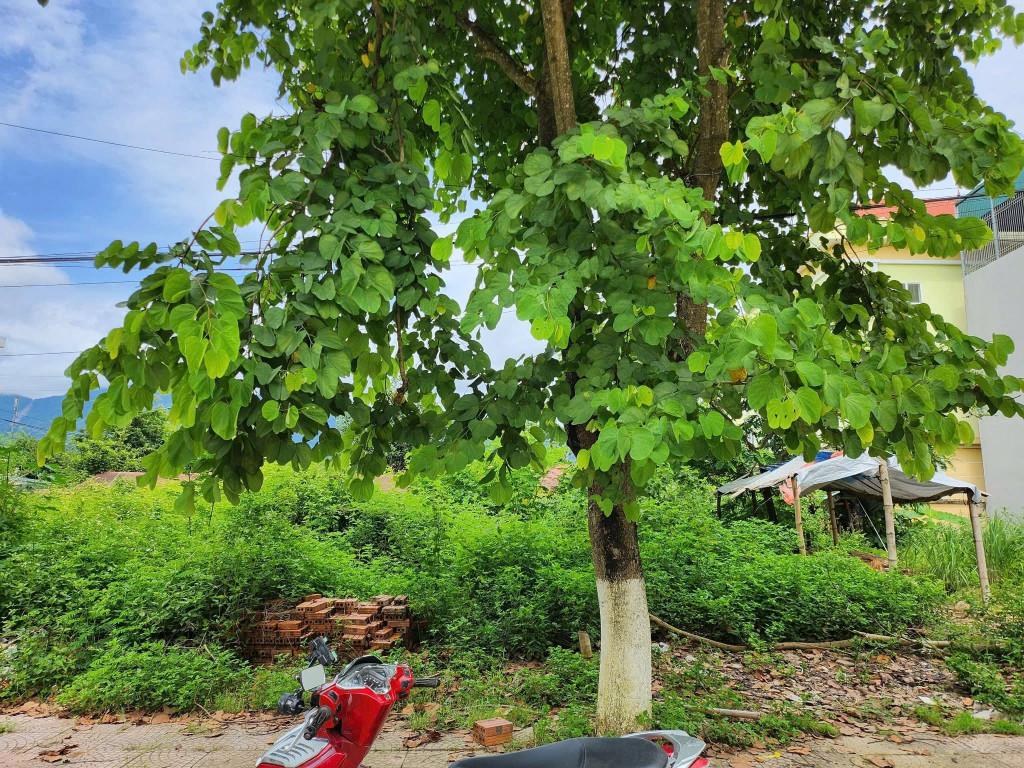 Bán đất tổ 4 Mường ẳng