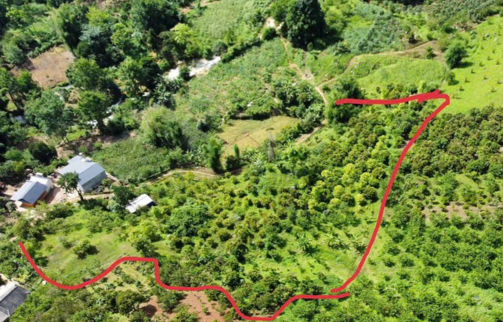 🌿 6.000m² – ĐẤT LỚN HIẾM – LÀM HOMESTAY/FARMSTAY SIÊU ĐẸP! 🌿