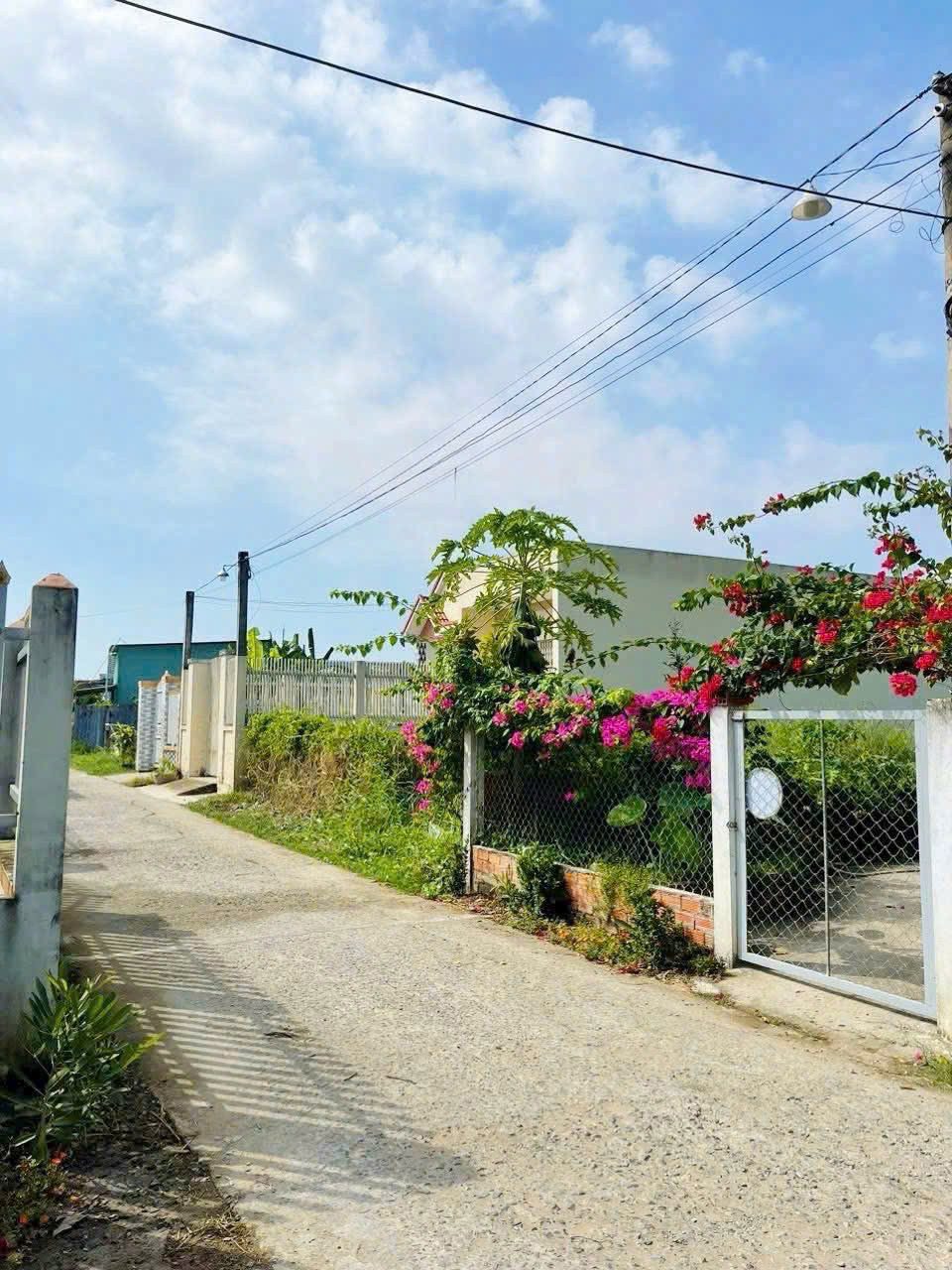 Bán đất đường beton xe tải Mỹ Bình, Tân Trụ dt 210m2 giá 790 triệu