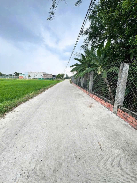 Bán đất 2641m² ngang 5m giá 680 triệu Xã Mỹ Hạnh