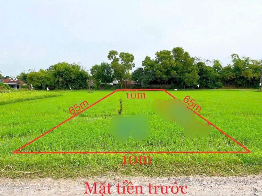 Bán đất 542.5m² ngang 10m giá 3.4 tỷ Xã Mỹ Hạnh