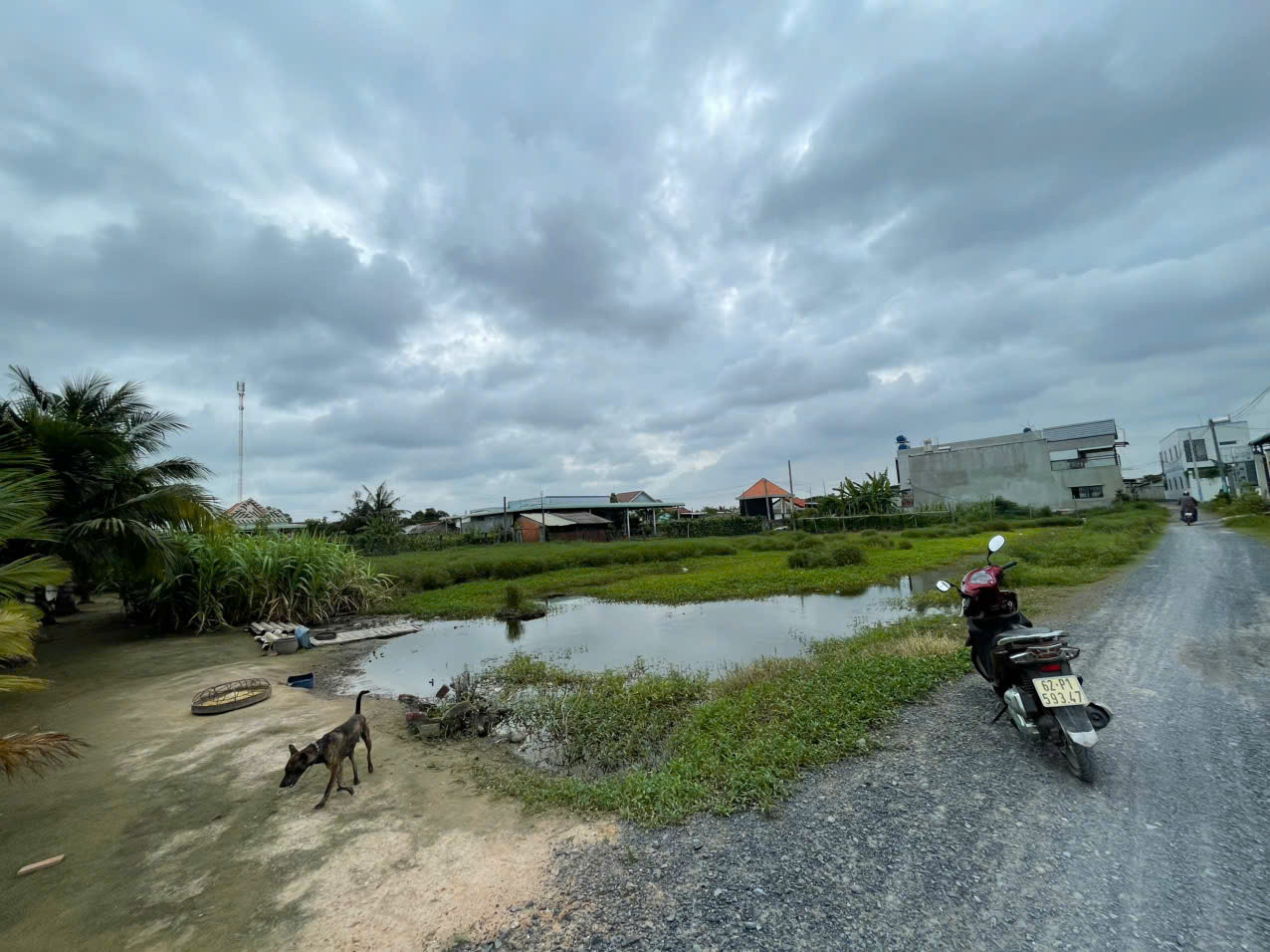 Bán đất 1550.2m² ngang 50m giá 20 tỷ Xã Mỹ Hạnh