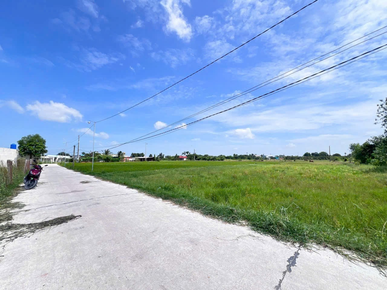 Bán đất 732.4m² ngang 5,6m giá 1.28 tỷ Xã Mỹ Hạnh