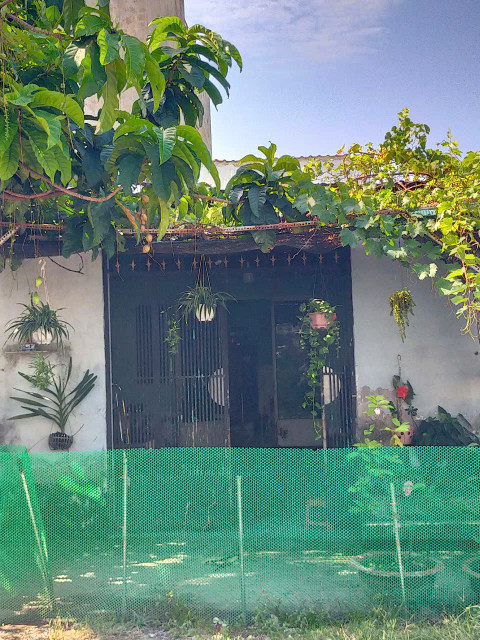 Nhà 5x15 75m2 1ty250 sổ hồng riêng SDT 0909356049
