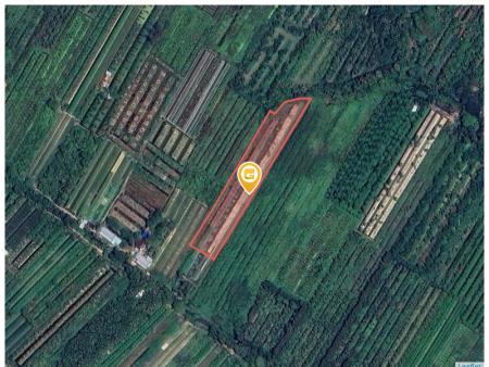 Bán đất 4443.7m² 3.1 tỷ tại Xã Mỹ Hòa Thị xã Bình Minh