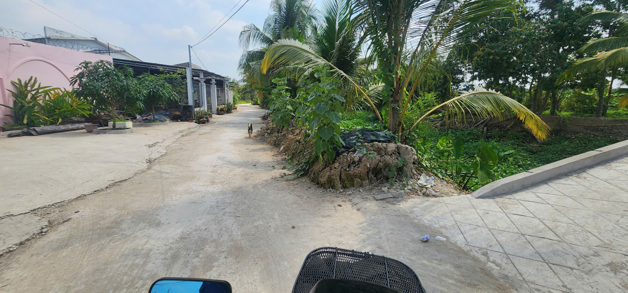 1800m đất vườn góc.