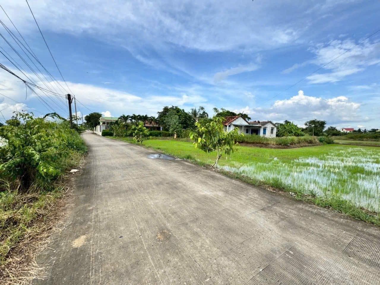 Chính chủ cần bán 1600m lúa phù hợp chuyển thổ cư tại xã Mỹ Lệ Cần Đước Long An