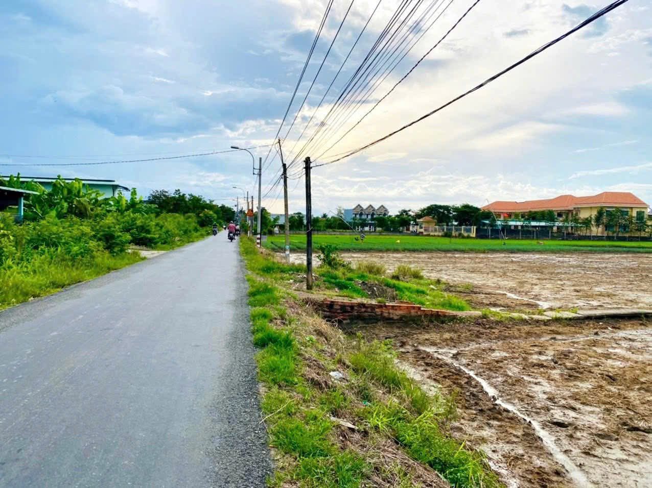 Chính chủ cần bán 1600m lúa phù hợp chuyển thổ cư tại xã Mỹ Lệ Cần Đước Long An