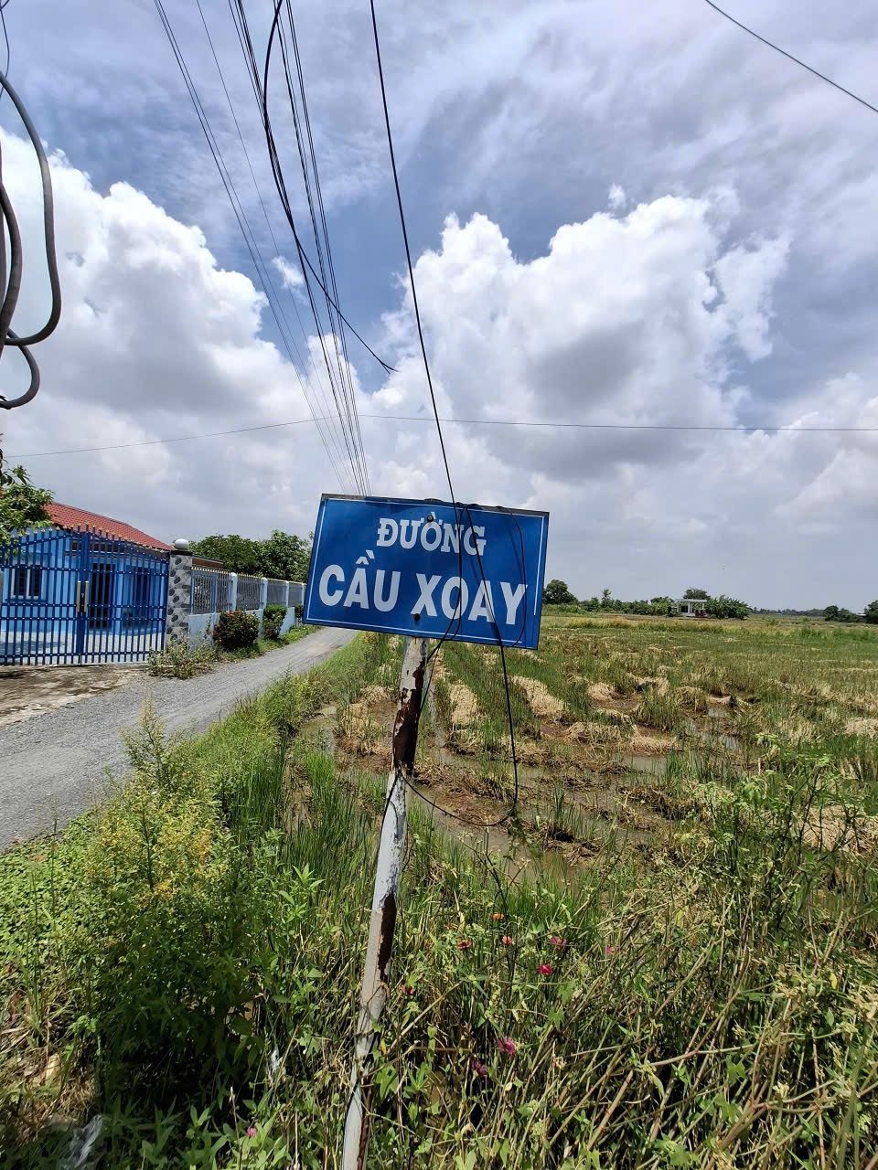 Bán gấp 2500m2 có 783m2 thổ cư, MT đường Cầu Xoay, Mỹ Lệ, Cần Đước, giá rẻ 7 tỷ