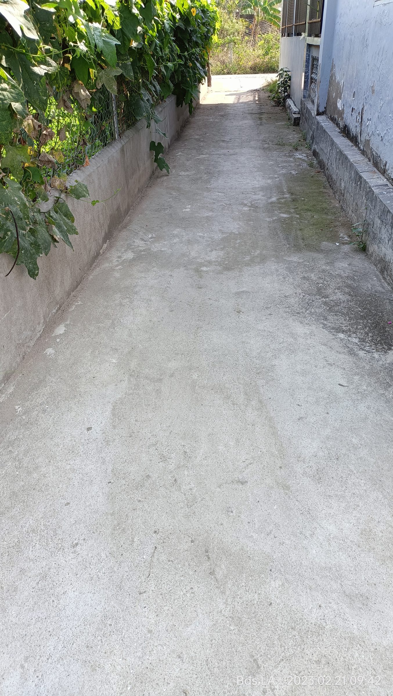 Bán đất 101.5m² có sẵn 101m² thổ cư ngang 5m giá 750 triệu tại Xã Mỹ Lộc