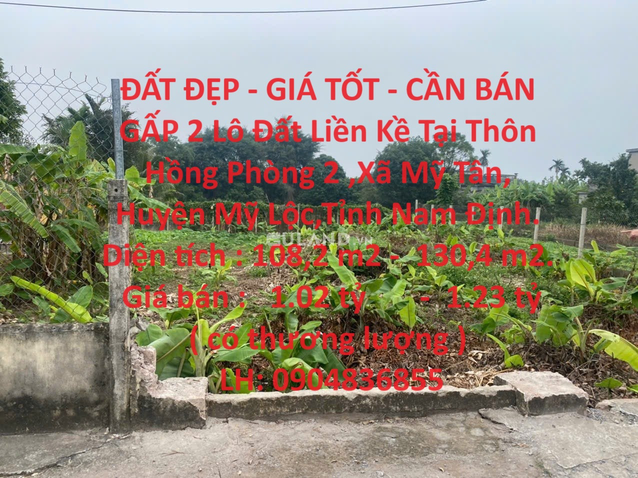 ĐẤT ĐẸP - GIÁ TỐT - CẦN BÁN GẤP 2 Lô Đất Liền Kề Tại Mỹ Lộc,Nam Định.