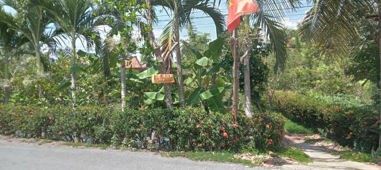 Đất nền mặt tiền đường nhựa