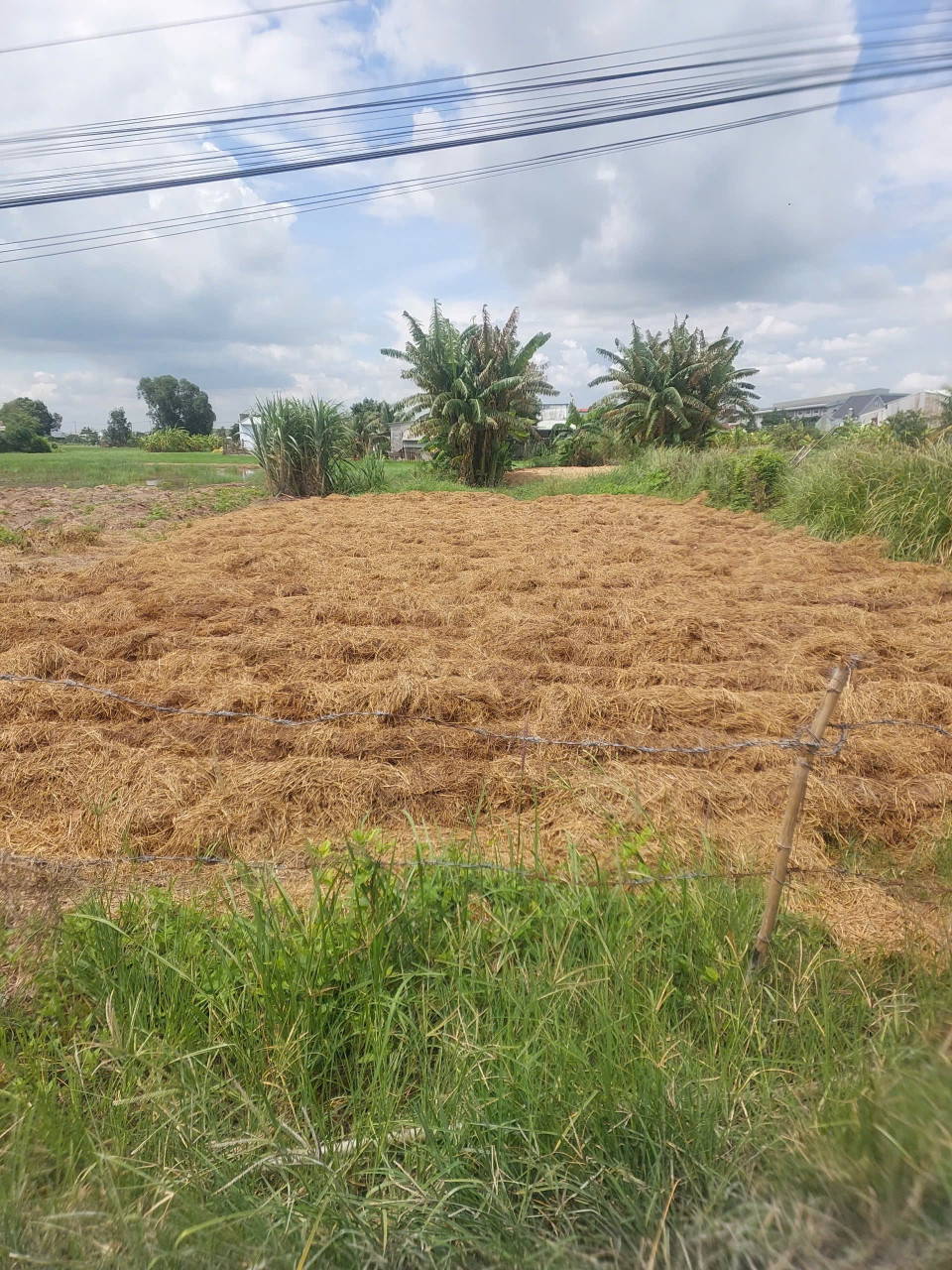 Bán đất thổ + lúa 387m2 ấp 3 Mỹ Yên, Bến Lức, Long An (Tây Ninh mới), giá đầu tư chỉ 2 tỷ