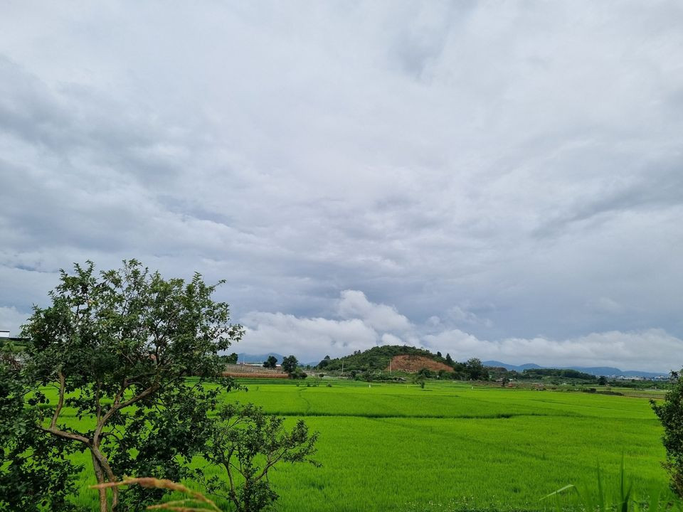 Bán  đất nông nghiệp 2800m² , giá 5.5 tỷ tại, Xã N'Thol Hạ, Huyện Đức Trọng, Lâm Đồng