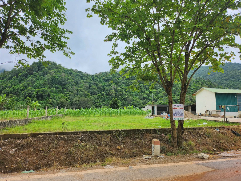 Nà nhạn 12